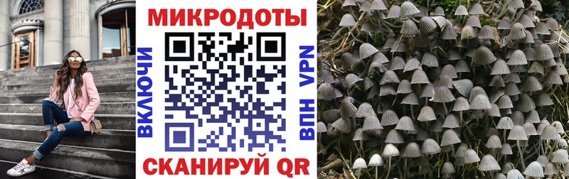 Галлюциногенные грибы Psilocybe  магазин продажи наркотиков  Пересвет 