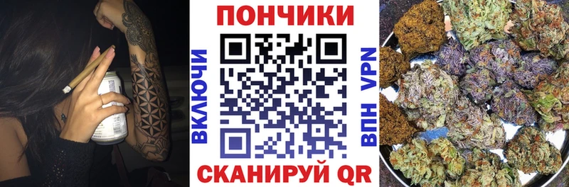 Шишки марихуана сатива  Пересвет 